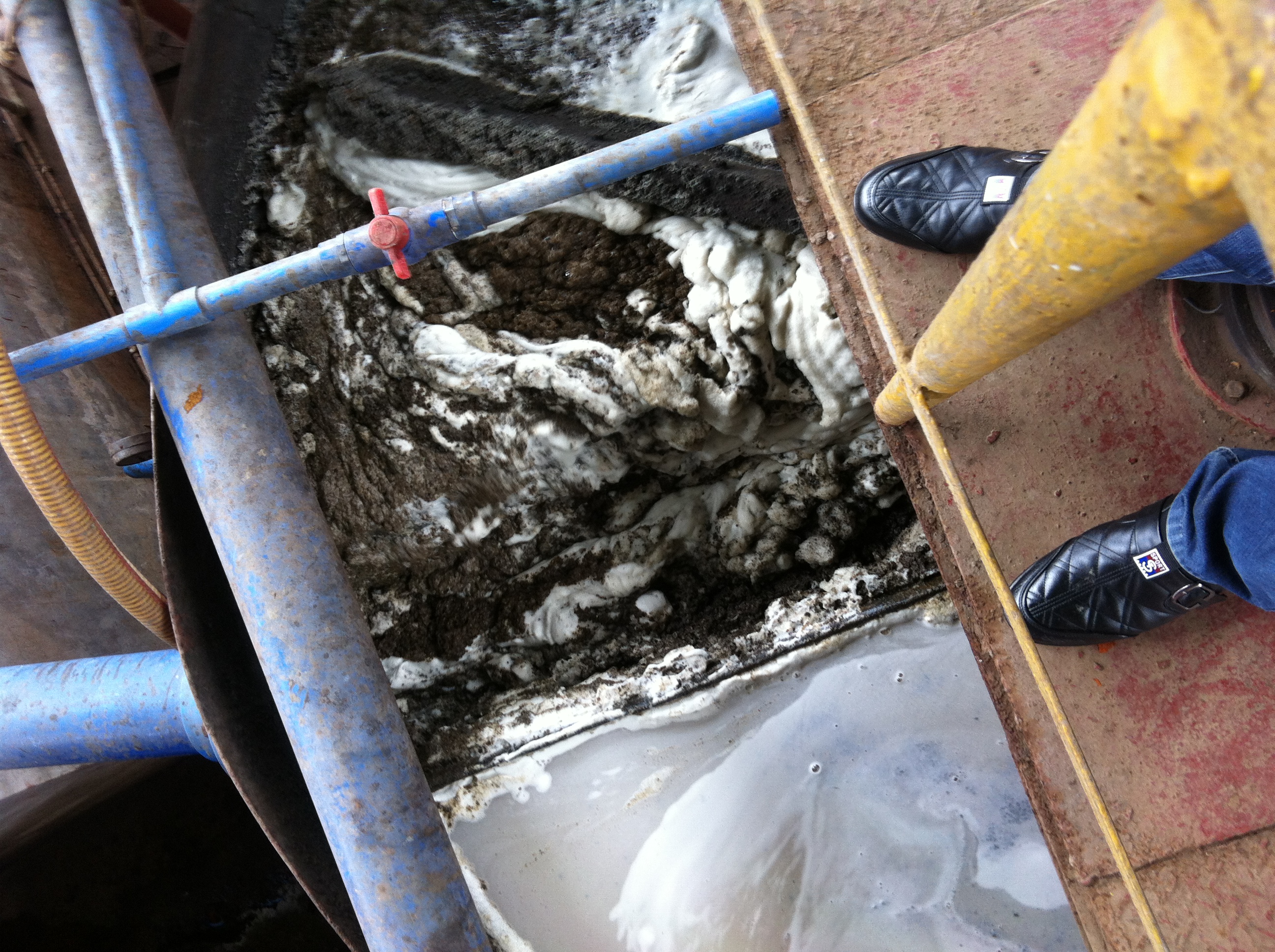 成都奥植化-图片9